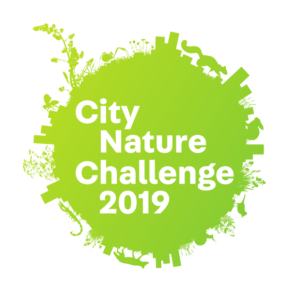 City Nature Challenge 2019 Maui