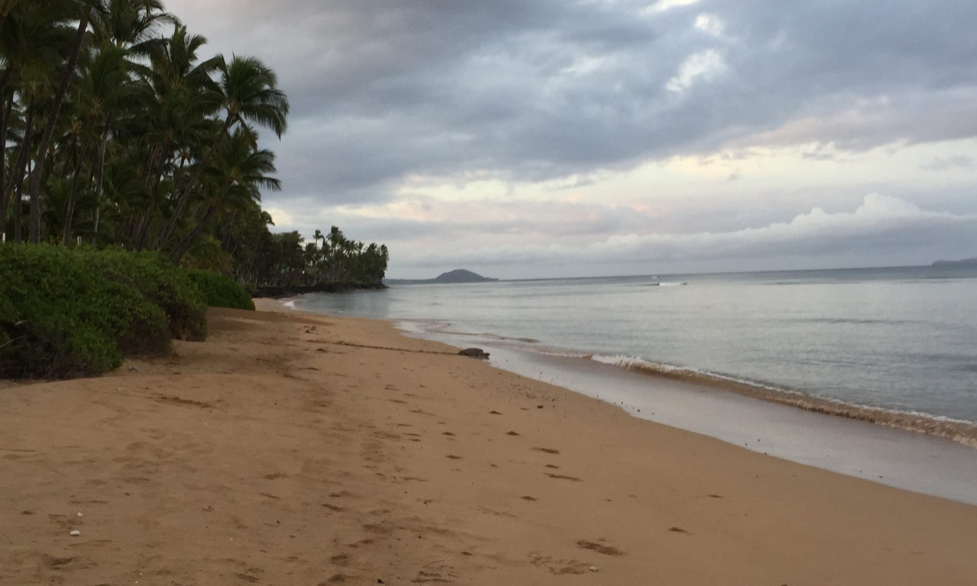 Kihei Beach with Sea Turtle