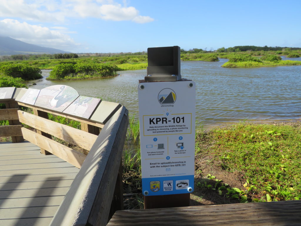 One of two Chronolog Project sites at Kealia Pond.